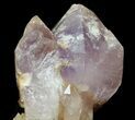 Quartz var Amethyst Crystal Cluster - Pakistan #38662-2